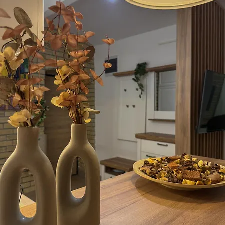 Appartement Maison Dositej No20